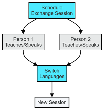 language exchange diagram